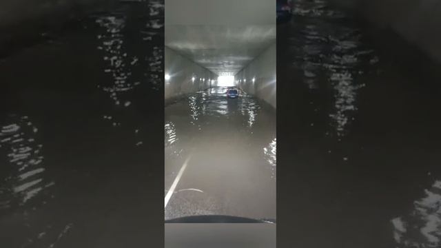 с днём водителя!