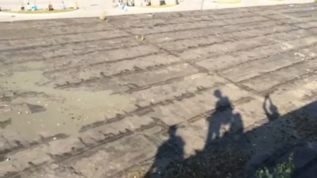 ФЕСТИВАЛЬ КРАСОК! НАШЛИ ПРИКЛЮЧЕНИЯ )