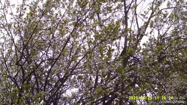 Мариуполь ⛵ строительство 🏗️🏬 ремонт 🏢пр.Строите?