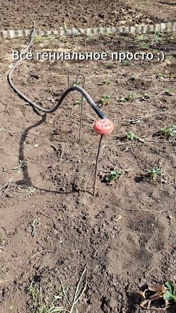 Это настолько просто, что не каждый догадается ;) Полив смотреть онлайн