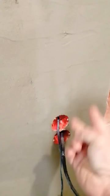 ‼️За штукатурами пришли электрики 🥴 #diy #ремонт #штук смотреть онлайн