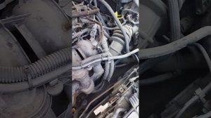 Металлический звон при запуске на холодную Форд Фокус