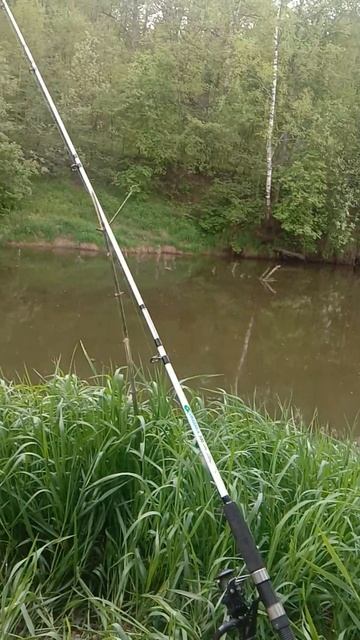 РЫБАЛКА МЫ СНОВА НА НОЛЬКЕ! РЕКА МАЛАЯ КОКШАГА! 17.05.2025 ГОДА! ЧАСТЬ-3 #fishing #рыбалка смотреть онлайн