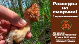 Разведка на сморчки! С приключениями!   Дневник грибника 22 мая 2025 года.