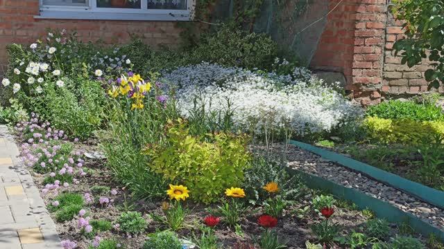 Обзор цветника! смотреть онлайн