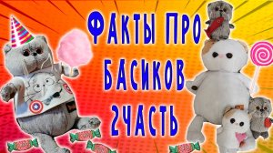 ФАКТЫ О БАСИКАХ 2 ЧАСТЬ 😺😻🤩 КОТИК БАСИК 😘😍🤩   ПРО КОТИКА БАСИКА #топыкатегорий #басики