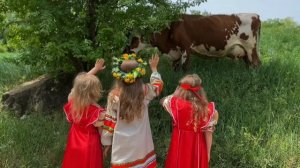Клип «Матушка земля белая березонька»