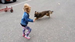 Собака напала на маленькую девочку