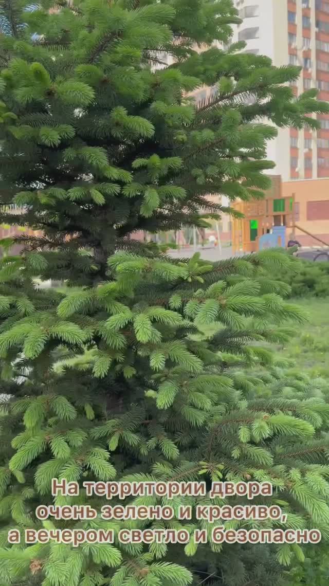 Продажа двухкомнатной квартиры в ЖК Высота - г. Воронеж