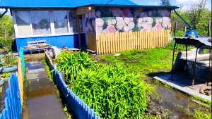 Думала буду отдыхать, а мама сказала будем работать // Наша дача