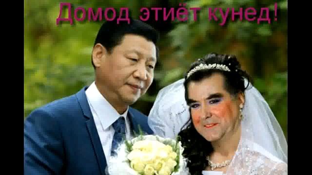 Приколи Шайтони Оли смотреть онлайн
