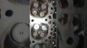 ямз 536540 установка толкателей.