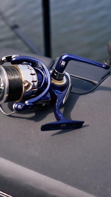 🤔 Как ловить белого осетра #природа #рыбалканаозере #? смотреть онлайн