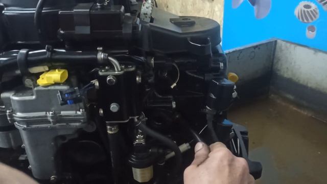 Замер компрессии Tohatsu MFS30, Seamotors, Владивосток