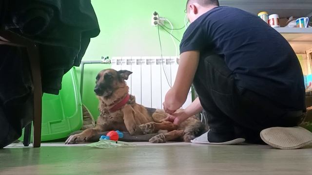 лечебные процедуры - все нужно вытерпеть )) немецкая ов