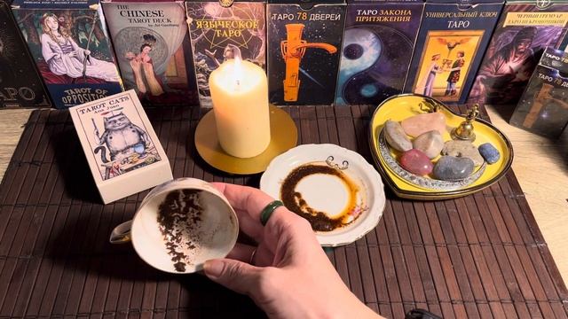 Чашка дня‼️