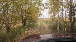 ПЕСНЯ про НИВУ