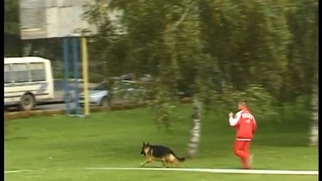 Самара Ланд смотреть онлайн