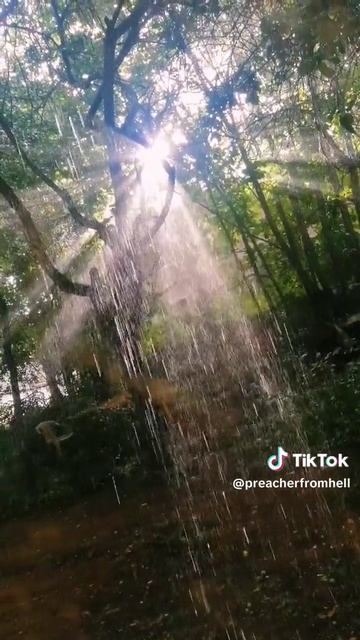 Пусть это останется здесь смотреть онлайн