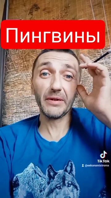 Ржака!!! Пингвины это ласточки! А вы знали??? 🤣🤣🤣🤣🤣? смотреть онлайн