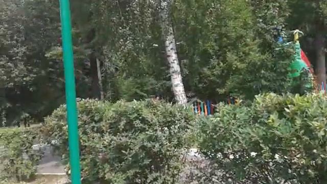 29 июня 2021 г. В парке Лакреевский лес в Чебоксарах смотреть онлайн