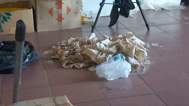 Зачем производят белые тапки. Отчет за 29.08.2024 смотреть онлайн