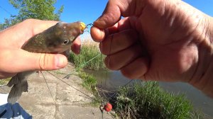 Рыбалка на донки на карася.Открыл сезон.Волгоград