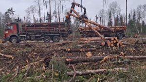 Работа манипулятора Epsilon. Лесовоз Volvo fmx 6х6. Работа как ?