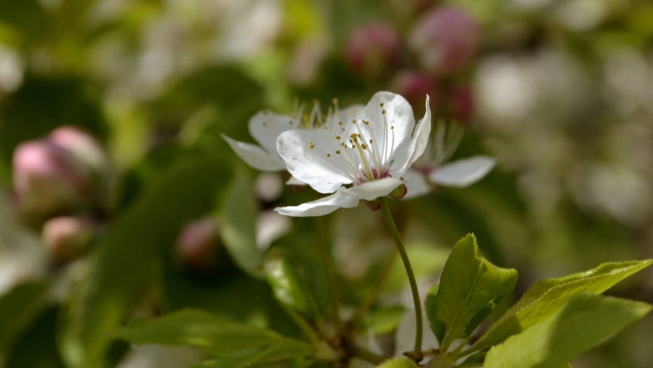 Вечерний человек (remix #3)