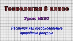 Технология 6 класс (Урок№30 - Растения как возобновляемые природные ресурсы.)