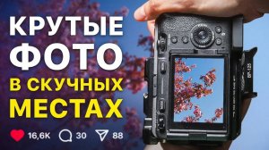 7 советов, которые сделают ЛЮБОЕ фото красивым! (минимум оборудования)