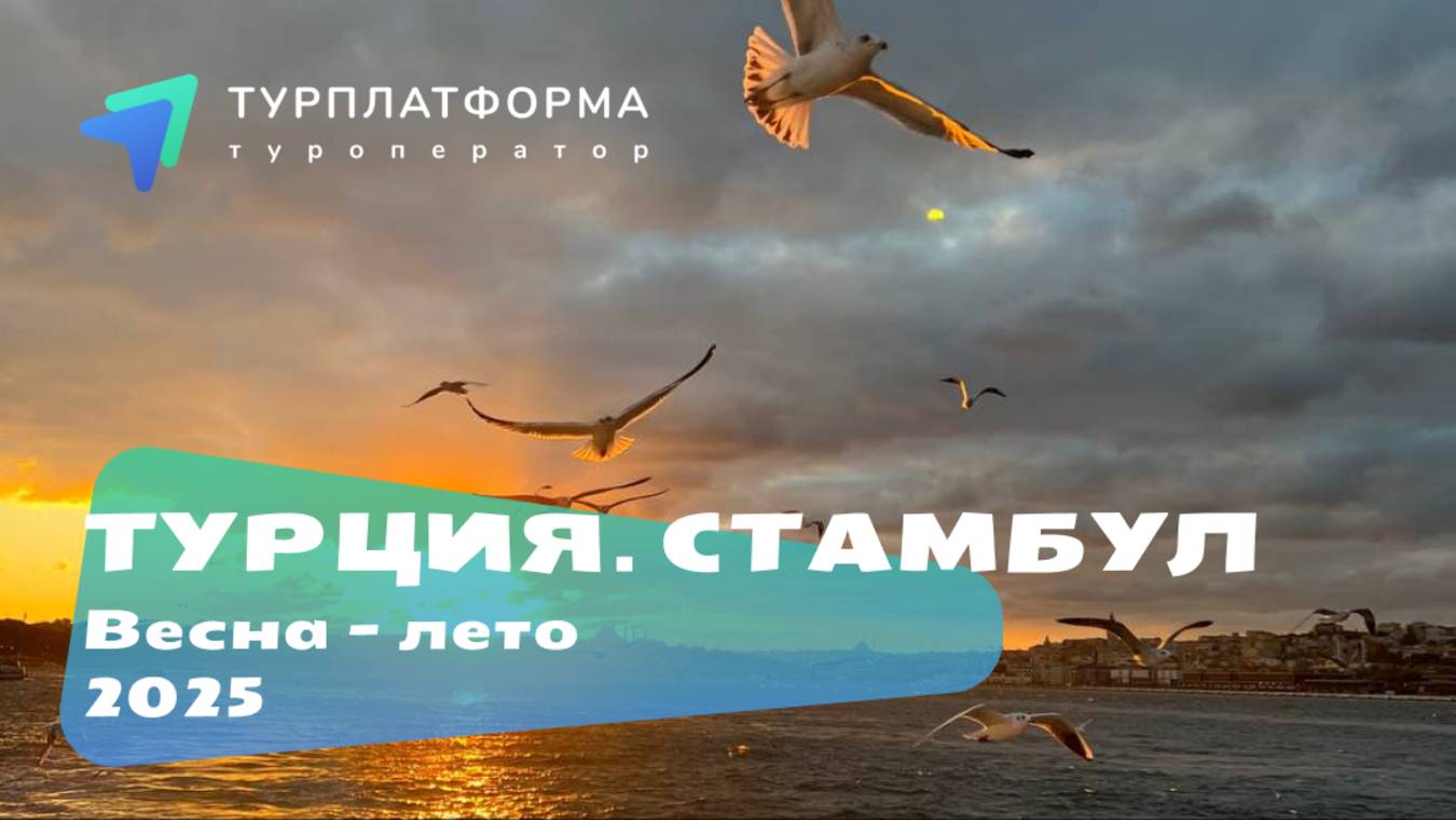 Вебинар. Турция, Стамбул 2025