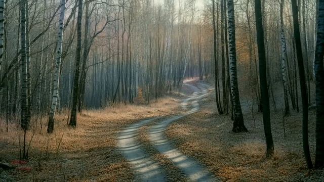 Миша нарисовал семью в садике, воспитатель вызвала по?