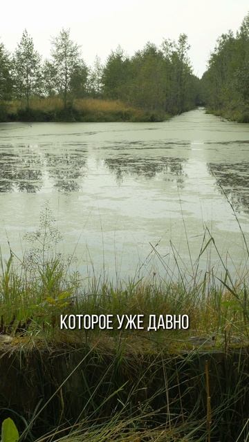 Причина, по которой ты буксуешь