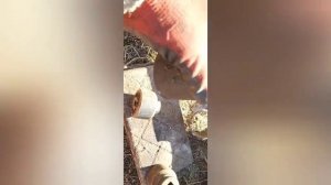 Замена саленблоков на передних рычагах. Форд Мондео 4