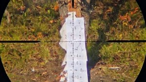 ЛЕШИЙ 2 И ДОБЕРМАН В РАБОТЕ!