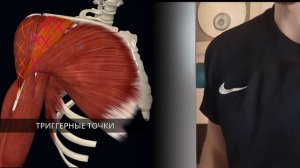Убираем боль в плече | Дельтовидная мышца | Самомассаж