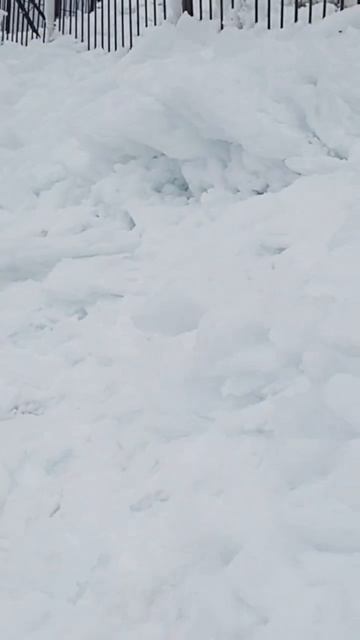 вершина Бештау смотреть онлайн