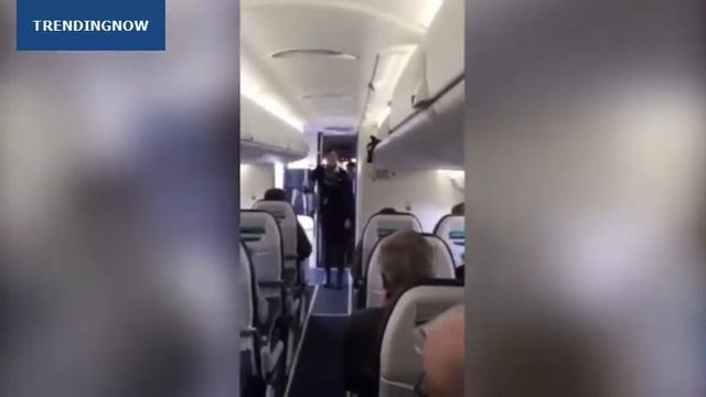Funky flight attendant Стюардесса танцует в самолете