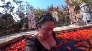 Хуньчунь / Горячие источники с перцем / Любимый самова?