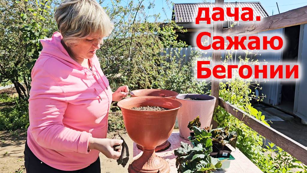 Дача.Посадила Бегонии.Сильный ветер ломает помидоры.Спасаю клубнику.Май 2025 смотреть онлайн