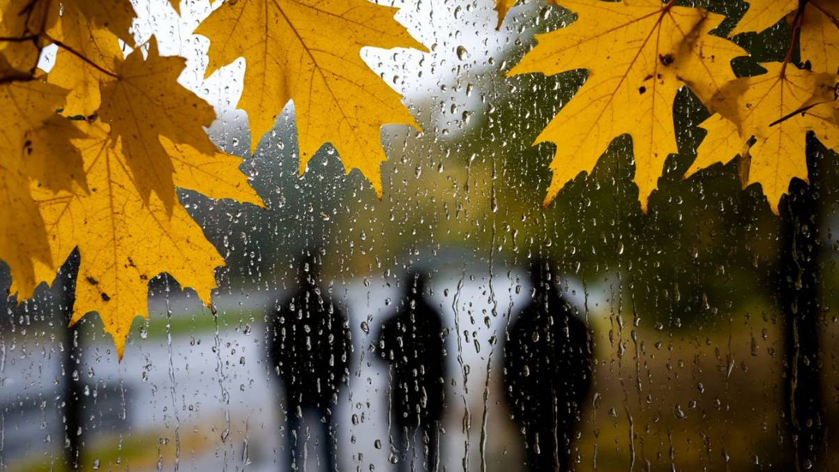 Осень жизни смотреть онлайн