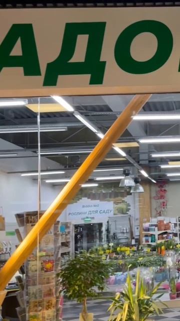 #phal #phalaenopsis #орхидеи #україна #одеса #цветениеорхидей #ф смотреть онлайн