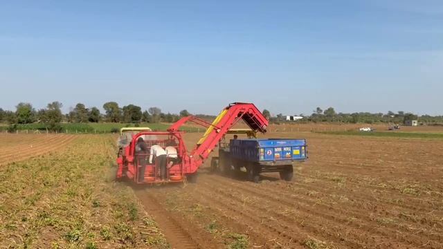 Potato Harvesting With GRIMME DL 1500 In Gujarat, India