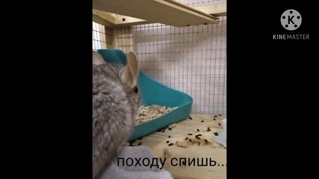 эй ты не спишь?! смотреть онлайн