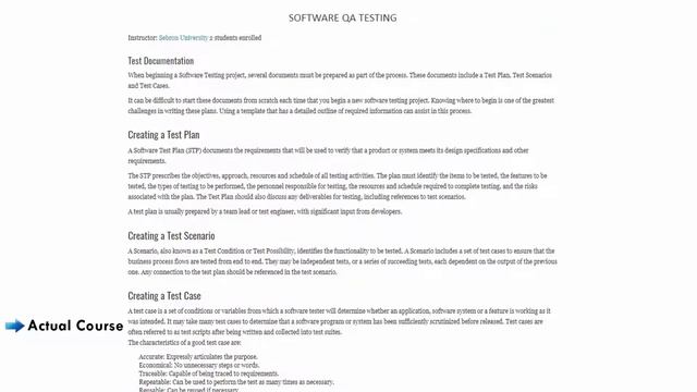 Курс тестировщика ПО онлайн - Sebron University смотреть онлайн