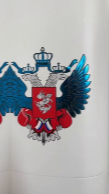 GD5000 KAIJO фольгирование теперь доступен в компании Курск-Принт #shorts #rutube #kaijo #уф #uv смотреть онлайн