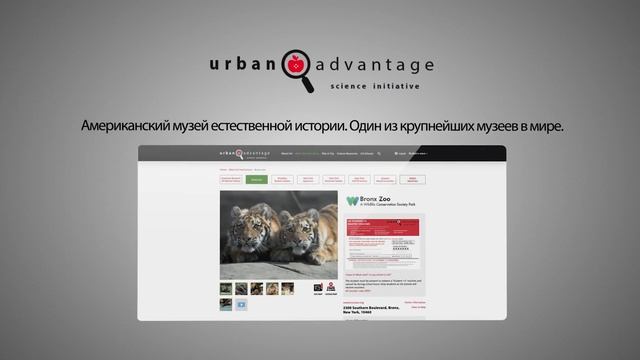 Презентация Студии Давыдова смотреть онлайн