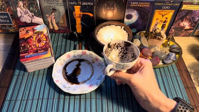 Чашка дня‼️