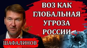 Жёсткая правда. Глобальная угроза России / Владислав Шафалинов, конгресс "Право на лекарство"